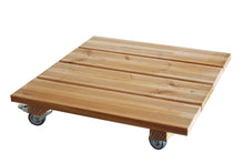 Lade das Bild in den Galerie-Viewer, amazon0