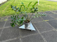 Lade das Bild in den Galerie-Viewer, 6350105
